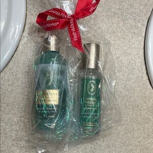 Bath & Body Works Stress Relief Eucalyptus Spearmint Duo - Green